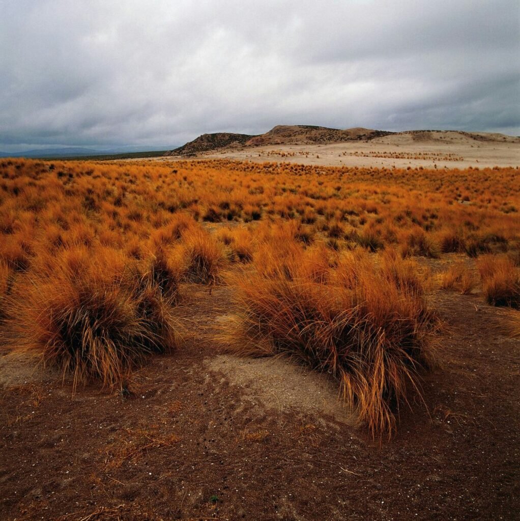 South America Atacama Desert South America