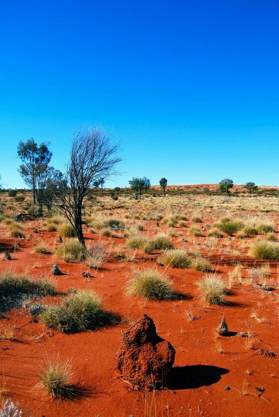 Great Victoria Desert Southern Australia 