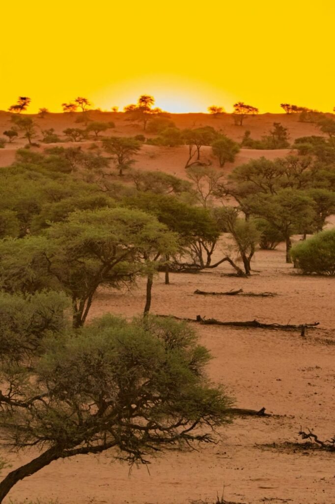 Kalahari Desert Southern
