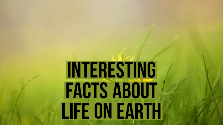 interesting facts about life on earth