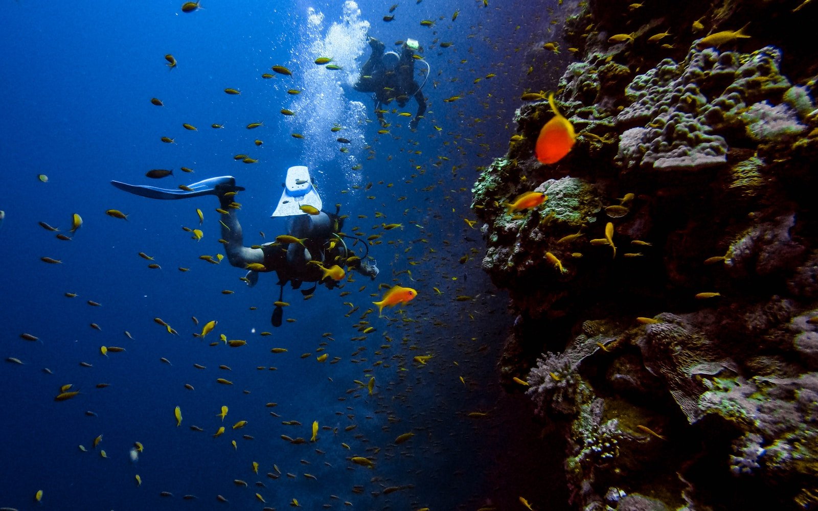 Best Place For Scuba Diving In India | Knowledgesight