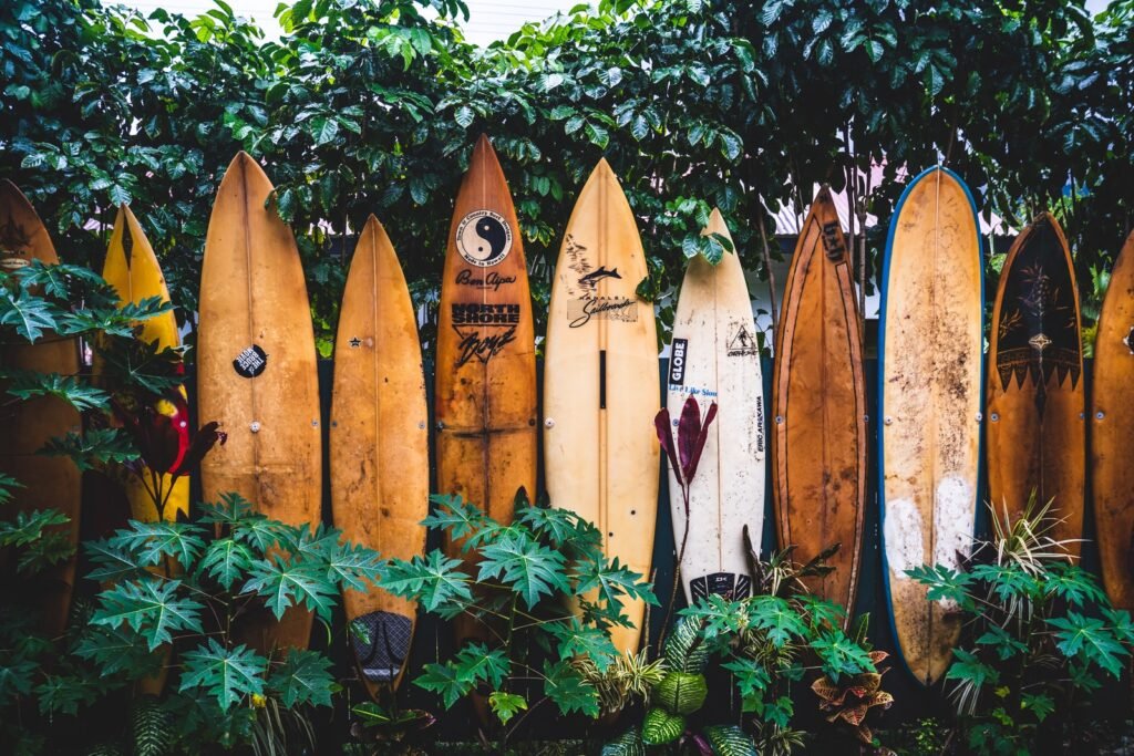 best places to Surfing in india